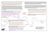 coo1f29 london_thumb.gif